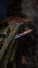 Ein handgeschmiedetes Messer mit einem Griff aus gestockter Birke in einer bewaldeten Kulisse