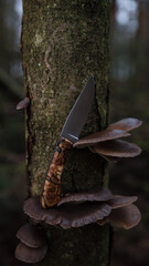 Ein handgeschmiedetes Messer mit einem Griff aus gestockter Birke in einer bewaldeten Kulisse