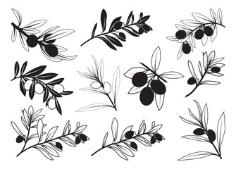 Olive Branch vector bundle, Olive Branch clipart, Olive Branch silhouette.	