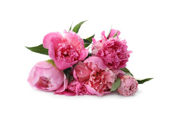 Bouquet of beautiful peonies on white background