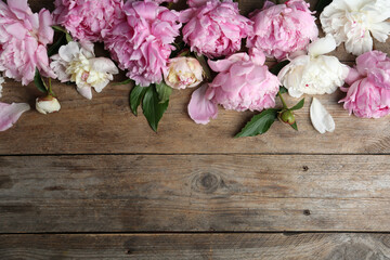 Beautiful peonies on wooden table, flat lay. Space for text