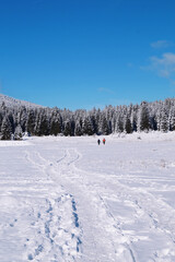 Obraz premium A relaxing vacation and a walk on a snowy mountain