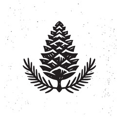 Vector illustration of an isolated Pine Cone