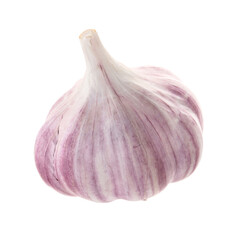 Unpeeled head of fresh garlic isolated on white