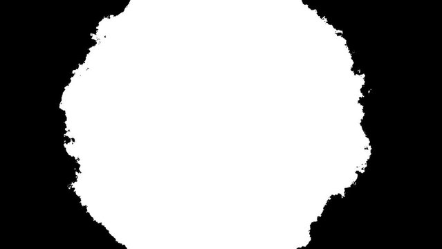 Black and white transition. Ink background. Ink splatter. Abstract slow motion transition reveal. Overlay, alpha matte composition