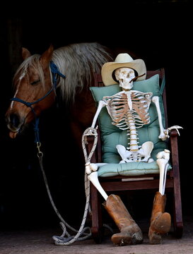 " Wenn es mal länger dauert". Skelett mit Cowboyhut und Stiefel sitzt vor Pferd im Schaukelstuhl