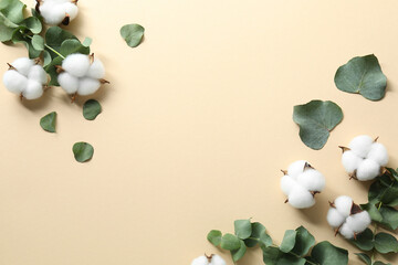 Cotton flowers and eucalyptus leaves on beige background, flat lay. Space for text