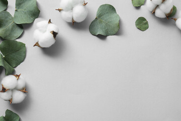 Cotton flowers and eucalyptus leaves on light grey background, flat lay. Space for text