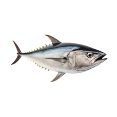 Fototapeta premium Tuna cut out on a transparent background. The underwater world is isolated. A design element to be inserted into a project or design.
