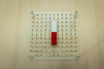 Red-white bar magnet on a board with small magnets, showing the direction of the magnetic field...