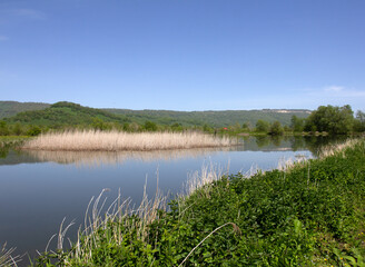 Spring walks in a mountain valley on a sunny morning along a path leading to an unexplored forest.