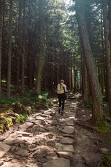 Happy woman traveler standing on the rock enjoying beautiful forest view.Female relaxing on hiking trip. Poland, Tatry, Zakopane