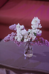 Vibrant lilac bouquet, white and purple, in a clear vase on a grey table, contrasting the red background. Concept for home decor or event design.