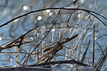 Eisskulpturen an der Eder bei Grifte in Nordhessen