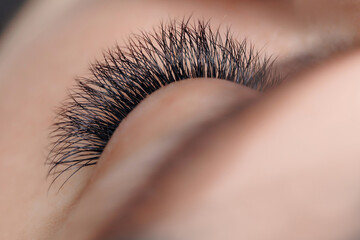 Eyelash extension procedure. Beautiful young woman eyes with long lashes, closeup