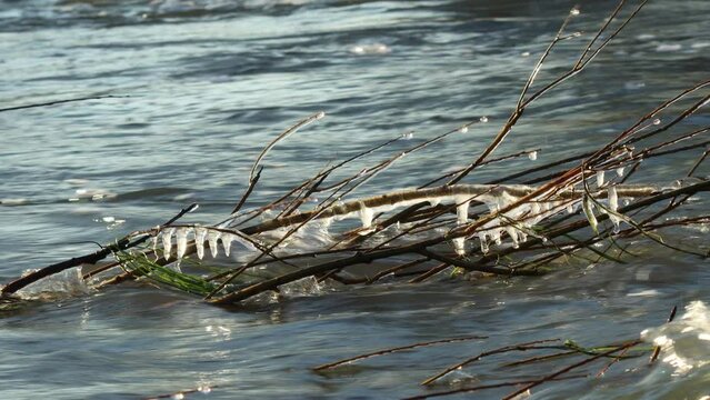 Eisskulpturen an der Eder bei Grifte in Nordhessen