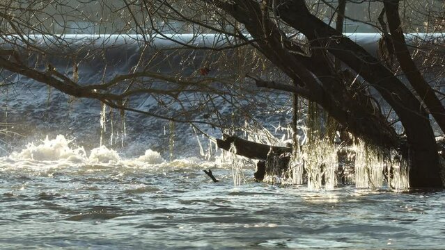 Eisskulpturen an der Eder bei Grifte in Nordhessen