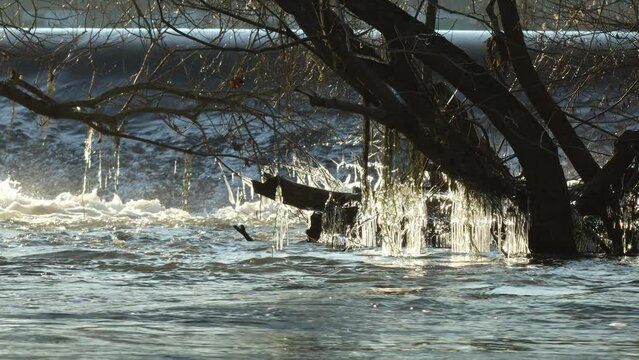 Eisskulpturen an der Eder bei Grifte in Nordhessen