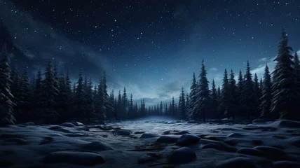 Foto op Plexiglas the view of looking up at the night sky in the boreal forest during winter, a composition in a minimalist style, capturing the serene beauty of the natural surroundings and the celestial display. © lililia