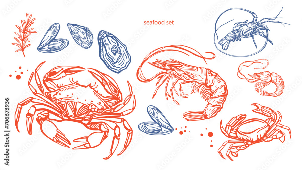 Wall mural hand drawn isolated vector set of shrimps and oysters. shrimps and langoustines on a white backgroun - Wall murals