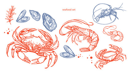 	
Hand drawn isolated vector set of shrimps and oysters. Shrimps and langoustines on a white background. Prawns. Seafood, food vintage illustration 