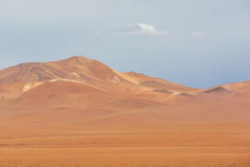 Rolgordijnen Dali desert © Galyna Andrushko