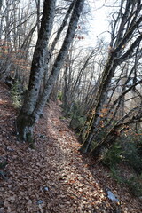 rando à la barre des Dourbes, 04