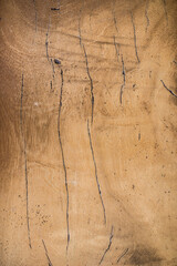 fondo vertical de madera con textura 