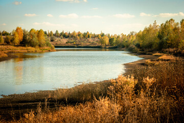 Lake an forest in autumn colors . Yellow trees and grass . Landscape in autumn 