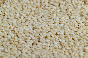 used in cooking sesame seeds