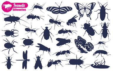 Different types of Insect Silhouettes vector