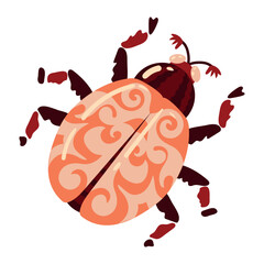 beautiful Beetle Dragonfly insect. Decorative stylized insect with a botanical pattern on the wings. Beetle wings. Vector illustration on a white background.