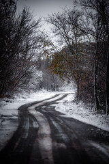 Winter landscape photography . Road in the forest with snow . White winter . Snow weather . Trees covered by snow 