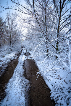 Winter landscape photography . Road in the forest with snow . White winter . Snow weather . Trees covered by snow 