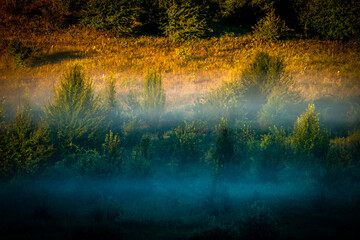 Lake in the morning . Fog on the lake at morning . Sunrise over the forest with fog . Summer vibes...