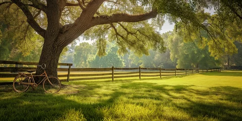  Green lawns with big trees look shady. There is a vintage bicycle parked under a tree. wooden fence behind Surrounded by nature background. © BackgroundHolic