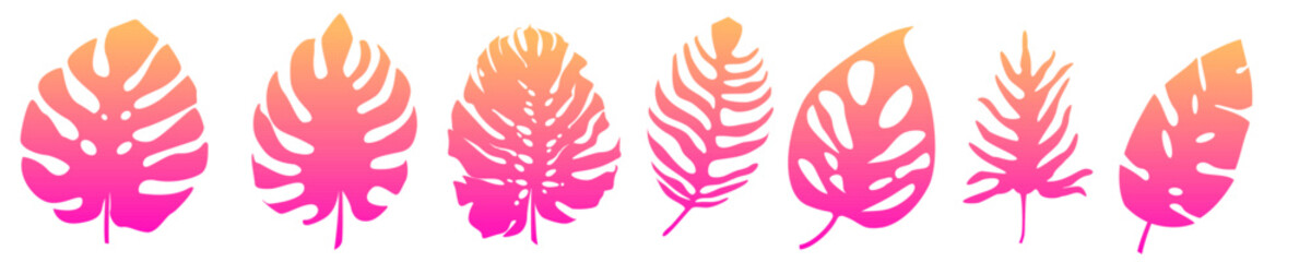 Obraz premium Set of vector illustration of tropical fern leaves pink gradient.