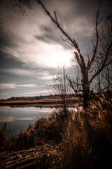 Night landscape . Yellow woods and trees . Autumn colors . Forest on the night time . Mystery lake and mystery forest 