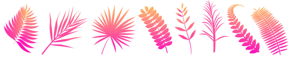 Fototapeta na wymiar Set of vector illustration of tropical fern leaves pink gradient. Exotic art design. Natural decorative element isolated.