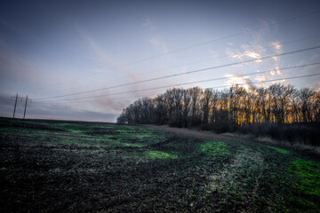 Obraz premium Sunset over the field . Golden sun in the woods . Green field . Red amd orange sky . Autumn landscape 
