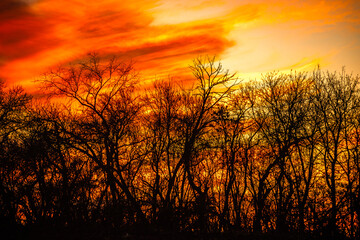 Fototapeta premium Sunset over the field . Golden sun in the woods . Green field . Red amd orange sky . Autumn landscape 