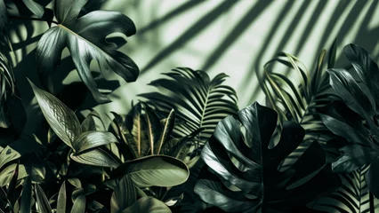 Foto op Plexiglas A monochromatic image of tropical leaves in various shades of green with soft shadows on a matching background flat lay top view © Cherstva