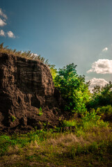 Obraz premium Photography in the forest . Other type of photographe . Landscapes . Summer landscapes 