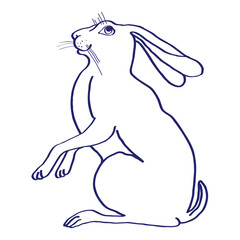 Hand drawn  Vector sketch. illustrahion hare