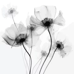Fotobehang white dandelion flower illustration vector  © iclute