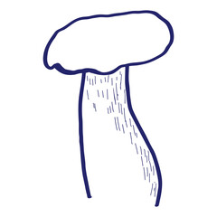 Hand drawn  Vector sketch. illustrahion mushroom
