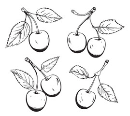 Vector Set of berries, a cherry, couple of cherries, a bunch. A collection in various drawings