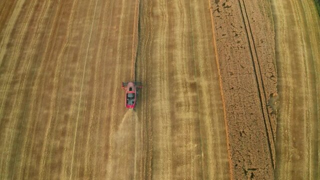 Heavy combine harvester crops barley driving in field bird eye view. Agricultural machine operates on agricultural plantation at harvesting season