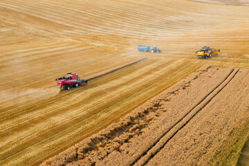 Futuristic combine reaper harvests golden wheat in dusty farm field aerial view. Agricultural industry machinery helps to crop cereals