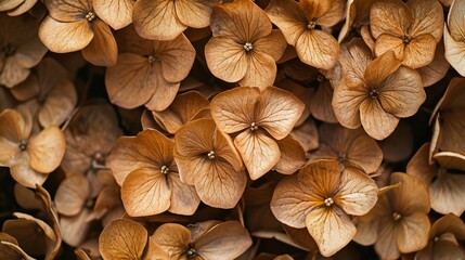 close up of brown leaves